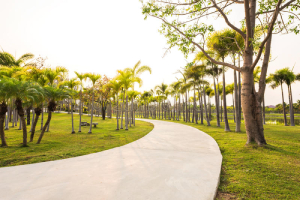Jogging Track