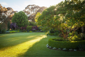 Landscaped Garden